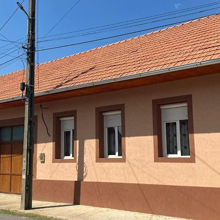 Pensiunea La Nety Bozovici Exterior photo